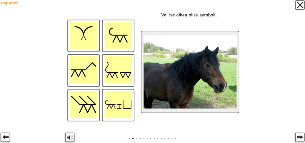 kuva tehtävästä, jossa on valokuva hevosesta ja kuusi eri bliss-symbolia