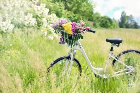 kuvassa on niitty ja polkupyörä, jonka korissa on kukkia